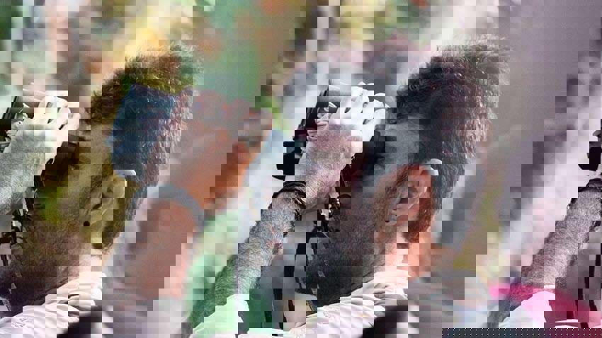 Introducing the 'Site Search' feature